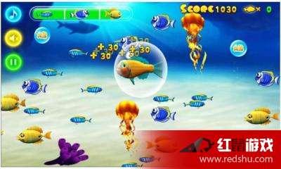 鲨鱼爆料开挂视频下载,揭秘开挂视频下载背后的真相